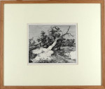 Road by a stricken tree