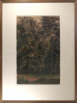 Study of trees
