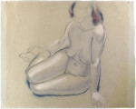 Seated female nude