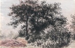 Study of Trees