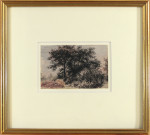 Study of Trees