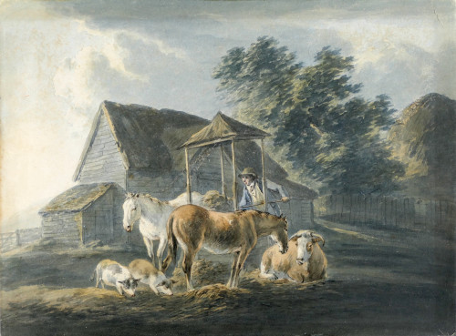 Peter Le Cave