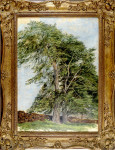 Beeches