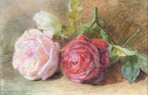 Charles Henry Slater