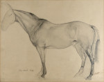 Racehorse in a Hood