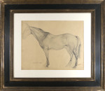 Racehorse in a Hood