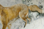 Painting of A Fox in Winter Landscape By Jonathan Sainsbury