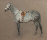 Pastel Painting Of A Grey Hunter