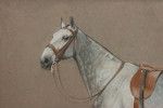 Pastel Painting Of A Grey Hunter