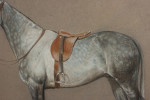 Pastel Painting Of A Grey Hunter