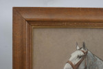 Pastel Painting Of A Grey Hunter