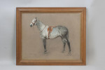 Pastel Painting Of A Grey Hunter