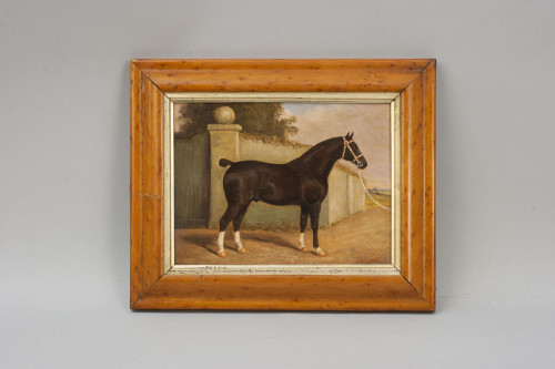 Equestrian Portrait Oil Painting Of A Brown Hunter