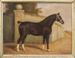 Equestrian Portrait Oil Painting Of A Brown Hunter