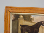 Equestrian Portrait Oil Painting Of A Brown Hunter