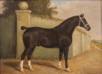 Equestrian Portrait Oil Painting Of A Brown Hunter