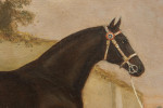 Equestrian Portrait Oil Painting Of A Brown Hunter