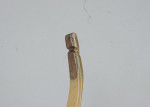 Continental Fibreglass Recurve Archery Bow