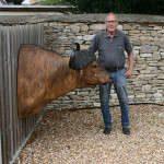 Cape Buffalo