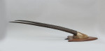Set Of Taxidermy Gemsbok Antlers