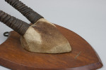 Set Of Taxidermy Gemsbok Antlers