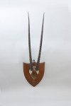 Set Of Taxidermy Gemsbok Antlers