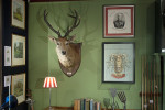 Taxidermy Stags Head By Spicer