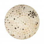 Springvale Gutta Percha Bramble Golf Ball