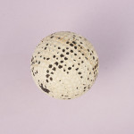 Springvale Gutta Percha Bramble Golf Ball