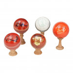 Five Signed Cricket Balls