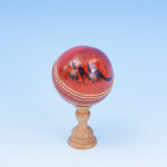 Five Signed Cricket Balls