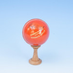 Five Signed Cricket Balls