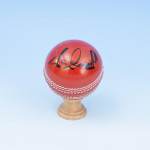 Five Signed Cricket Balls