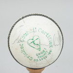 Five Signed Cricket Balls