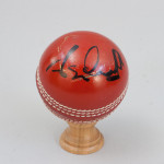 Five Signed Cricket Balls