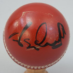 Five Signed Cricket Balls
