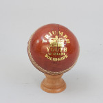 Five Signed Cricket Balls