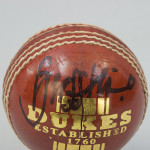Five Signed Cricket Balls