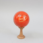Five Signed Cricket Balls