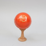 Five Signed Cricket Balls