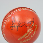 Five Signed Cricket Balls