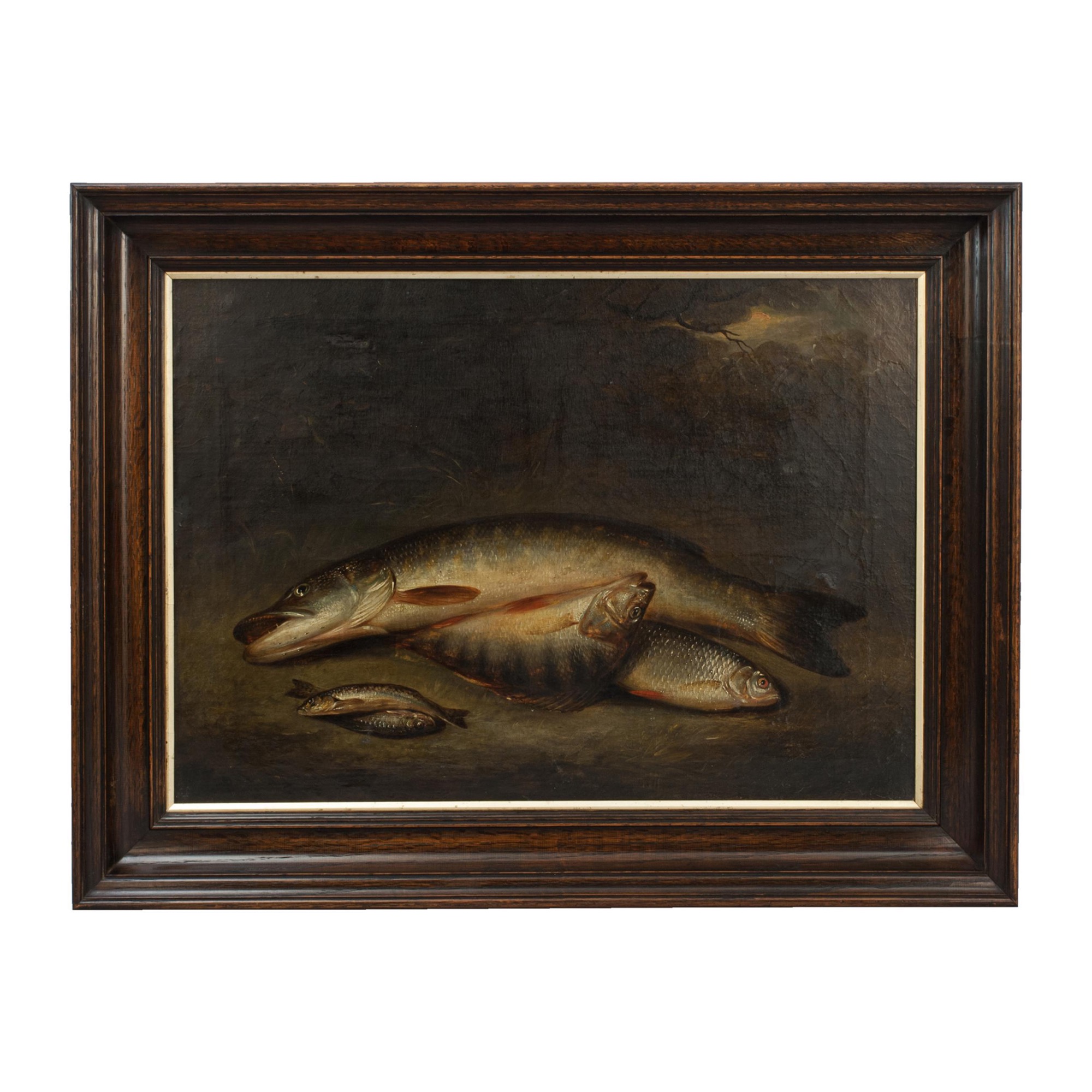 Painting Of Fish On The River Bank