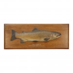 Farlow Brown Trout Trophy Model 1904