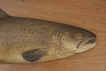 Farlow Brown Trout Trophy Model 1904