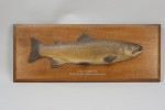 Farlow Brown Trout Trophy Model 1904