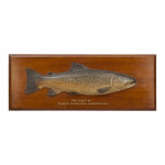 Farlow 1904 Brown Trout Trophy Model