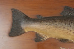 Farlow 1904 Brown Trout Trophy Model
