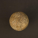 Bramble Pattern Golf Ball, Why Not