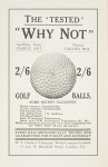 Bramble Pattern Golf Ball, Why Not