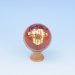 Four Signed Cricket Balls